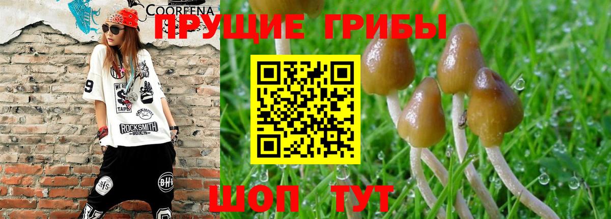 Новоалтайск  Псилоцибиновые грибы мицелий  дарнет шоп  Вход с VPN 