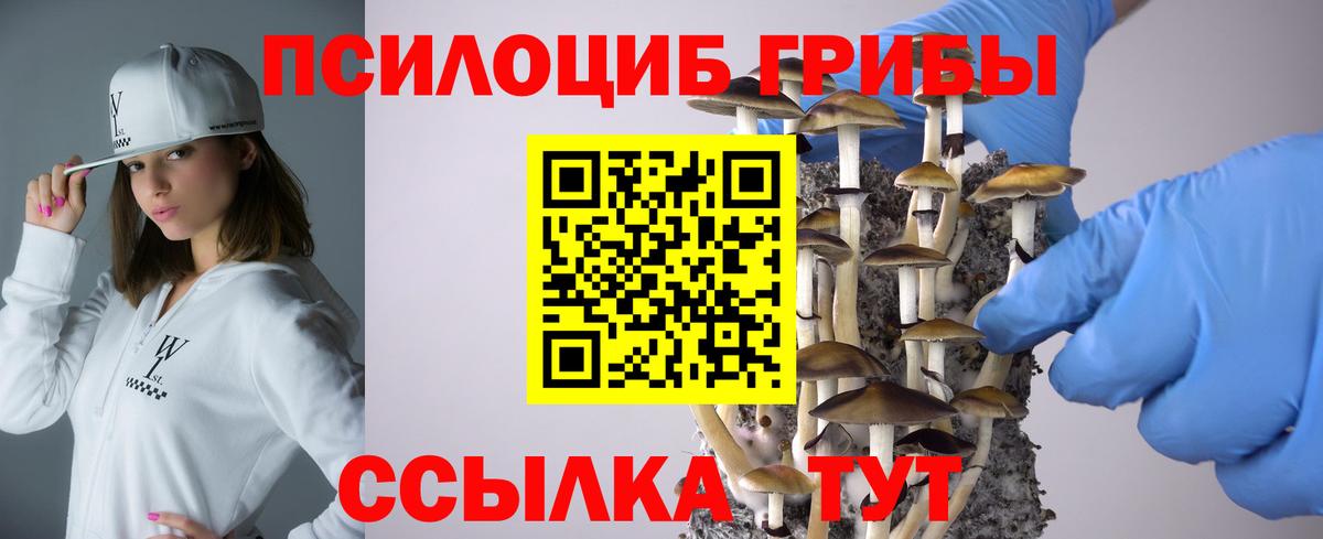 Псилоцибиновые грибы GOLDEN TEACHER Новоалтайск